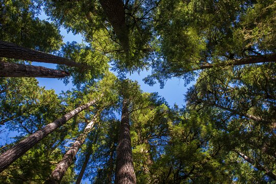 Tour image 3